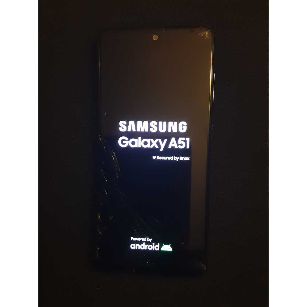 samsung galaxy a51 instruction manual