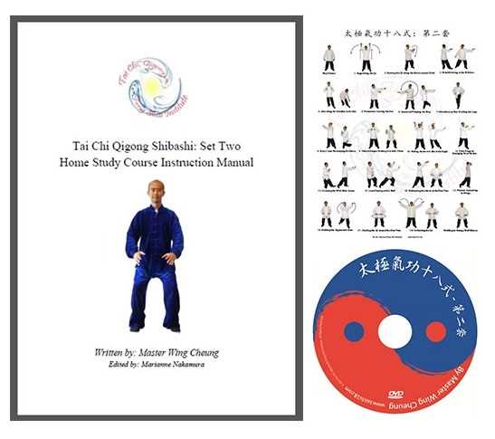 tai chi instruction manual