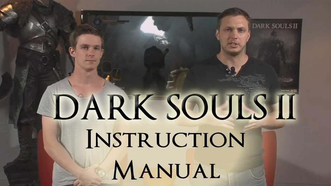 demons souls instruction manual