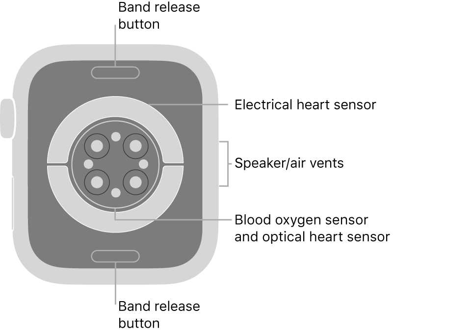 apple watch series 5 instruction manual