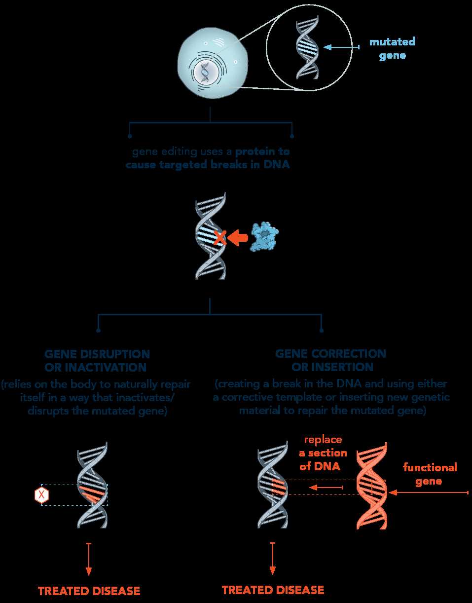 why are genes called instructional manual for your body