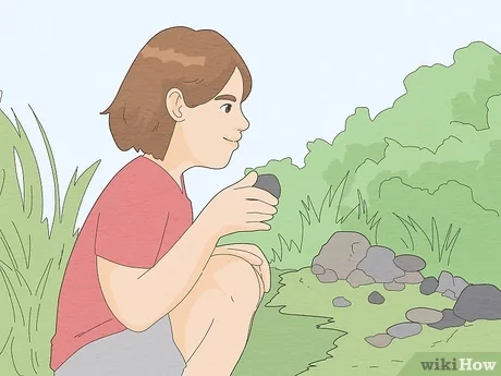 printable pet rock instruction manual