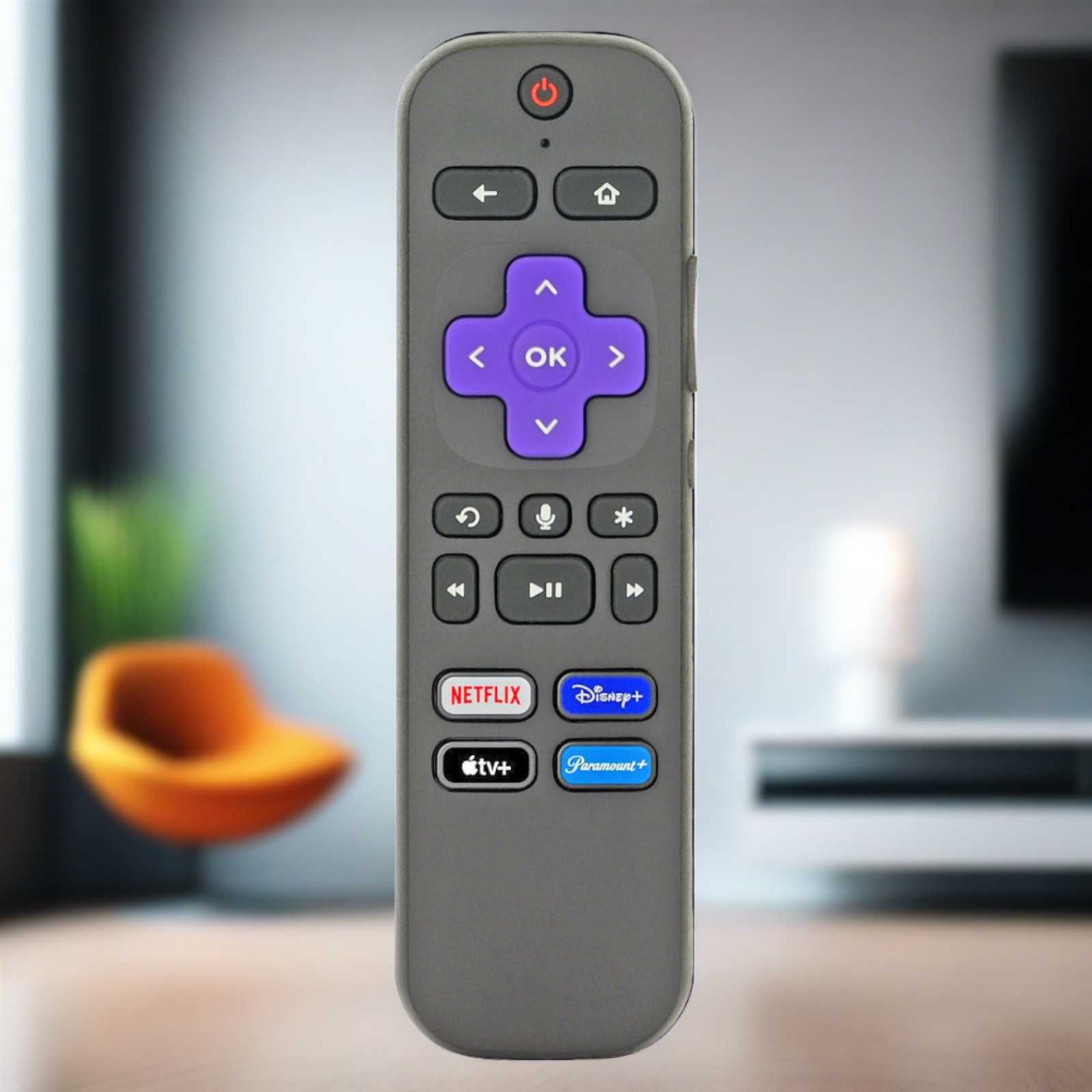 roku premiere instruction manual