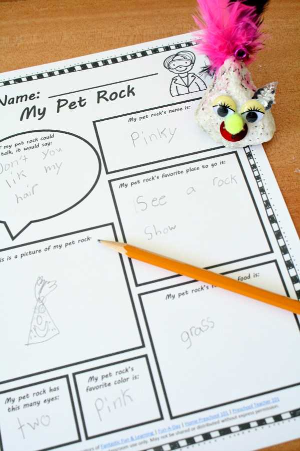 printable pet rock instruction manual