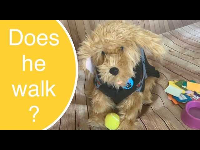 moji dog instruction manual