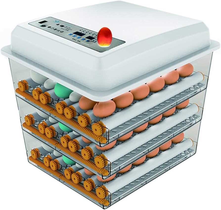 jaedo automatic egg incubator instruction manual