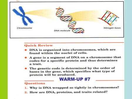 what is included in the genetic instruction manual