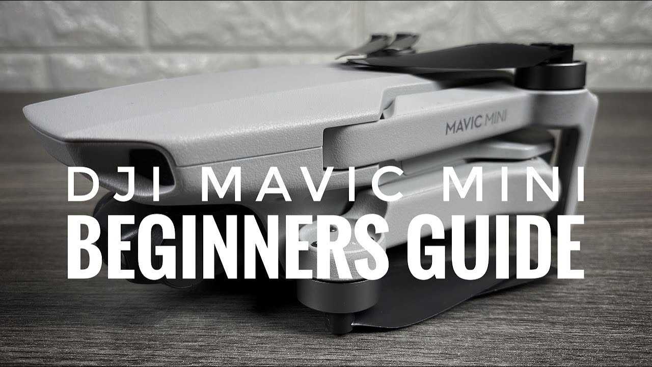 mavic mini instruction manual