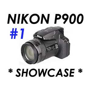 nikon p900 instruction manual