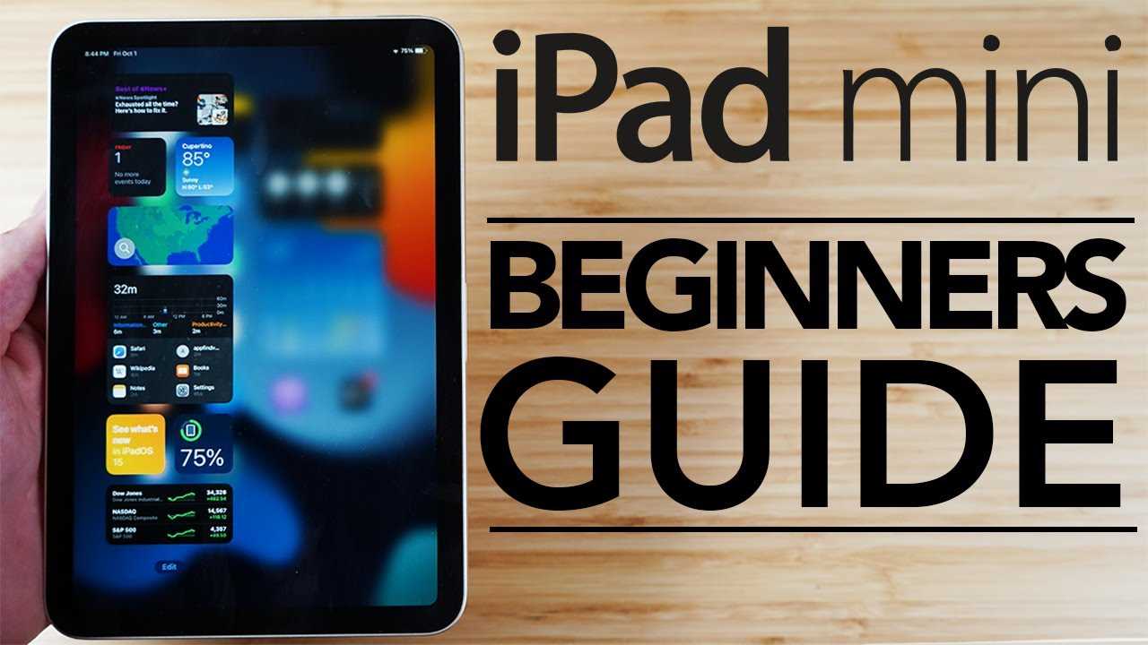 ipad mini instruction manual