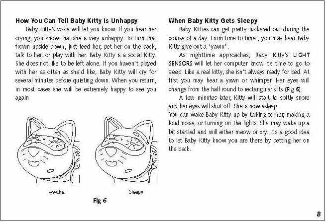 zoomer kitty instruction manual